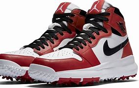 Image result for Air Jordan 100