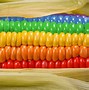 Image result for Rainbow Candy Corn