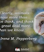 Image result for Fox Quotes Animal