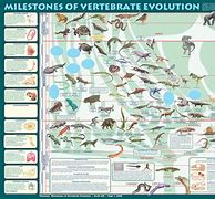 Image result for Vegitation of the Dinosaur World