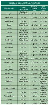 Image result for Printable Vegetable Calorie Chart