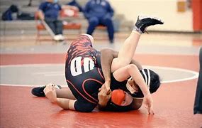 Image result for Wrestling Pinning Moves