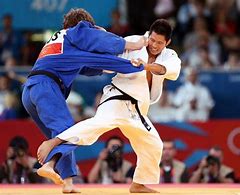 Image result for Nikkei Games Judo