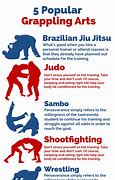 Image result for Grapple Fighting Styles