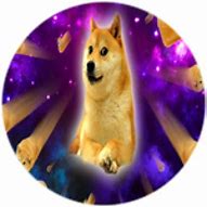 Image result for Galaxy Doge Roblox