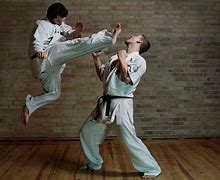 Image result for Deadly Martial Arts