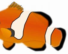 Image result for Realistic Fish Clip Art Free