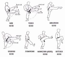 Image result for Okinawa Karate Belt System