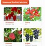 Image result for Fuji Fruit Picking