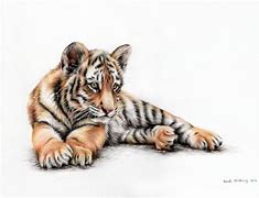 Image result for Tiger Cub Tattoo Drawing