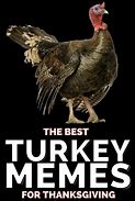 Image result for Running Turkey Meme