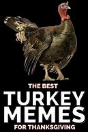 Image result for Turkey Day Meme