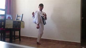 Image result for Karate at Home