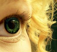 Image result for Green Colored Contacts