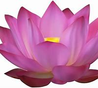 Image result for Lotus Flower Growing Clip Art
