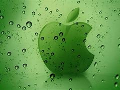 Image result for Green Apple Patron Logo