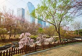 Image result for Yeouido Park I Seoul U