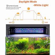 Image result for 18000K White LED Aquarium