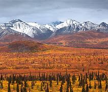 Image result for Alaska