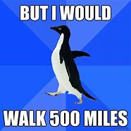 Image result for I Would Walk 500 Miles Meme