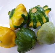 Image result for Patty Pan Squash