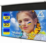 Image result for 100 Inch Screen