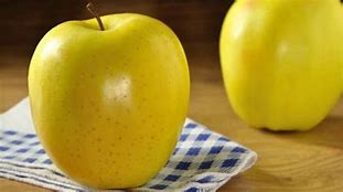 Image result for Proverb Apples and Oranges