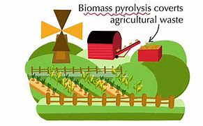 Image result for Second Generation Biofuels Feedstock