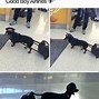 Image result for Wholesome Animal Memes Posts