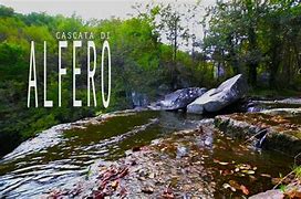 Image result for alfero