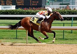 Image result for Horse Racing Neon Bar Signs