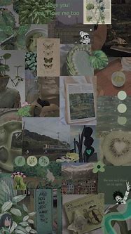 Image result for Sage Green Aesthetic Wallpaper