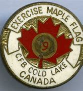 Image result for CFB Cold Lake Badge