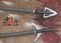 Image result for Best Crossbow Broadheads for Deer