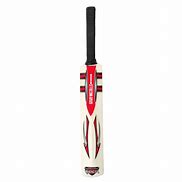 Image result for Mini Cricket Bat