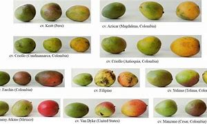 Image result for Fruiting in Diffrent Type of Crops