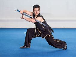 Image result for Wushu Kung Fu