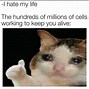 Image result for Objects Cell Meme