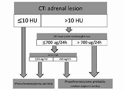 Image result for Hounsfield Units Adrenal Adenoma