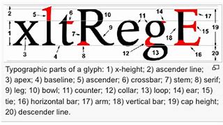 Image result for Typography Letter Anatomy