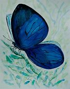 Image result for Butterflies Cost Plus World Market