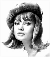 Image result for 1960s Fashion Models Famous