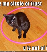 Image result for Meet the Fockers Circle of Trust Meme