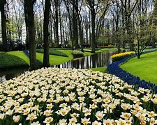 Image result for Beautiful Gardens Amsterdam Netherlands