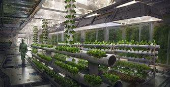 Image result for Sci-Fi Hydroponics Lab