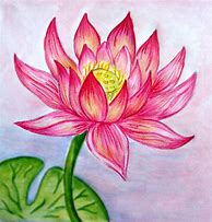Image result for Amazing Pencil Drawings of Flowers