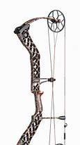 Image result for Archery Bow Color