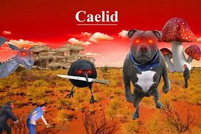 Image result for Caelid Brazil Meme