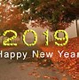 Image result for 1 2 New Year 2019