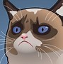 Image result for Grumpy Cat Memes for Kids